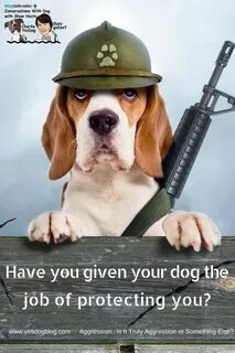 Has your dog