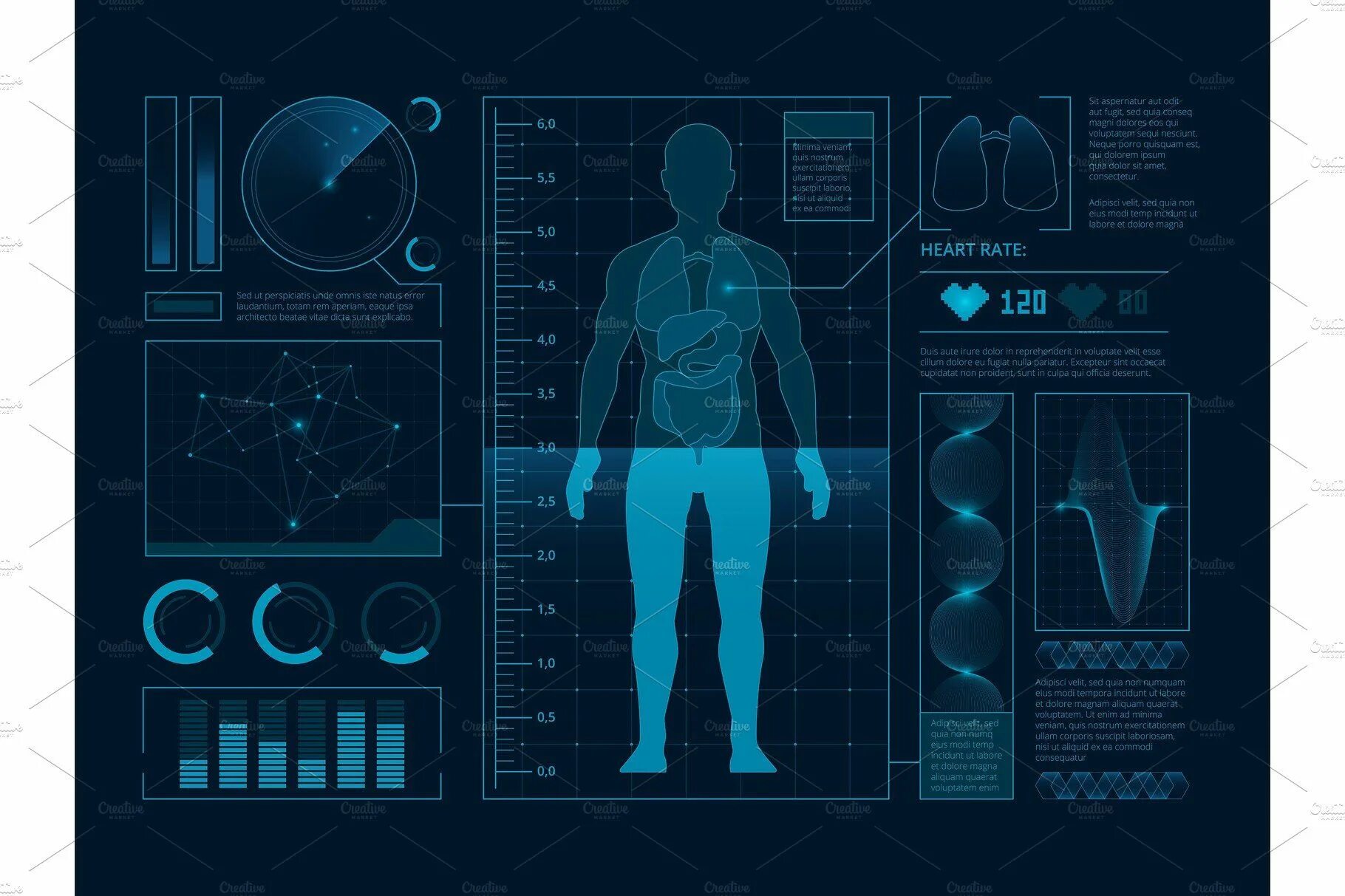 Цифровая анатомия человека. Gui Интерфейс Medical. Графика медицина Футуристическая. Строение человека цифровая Графика. Human verification