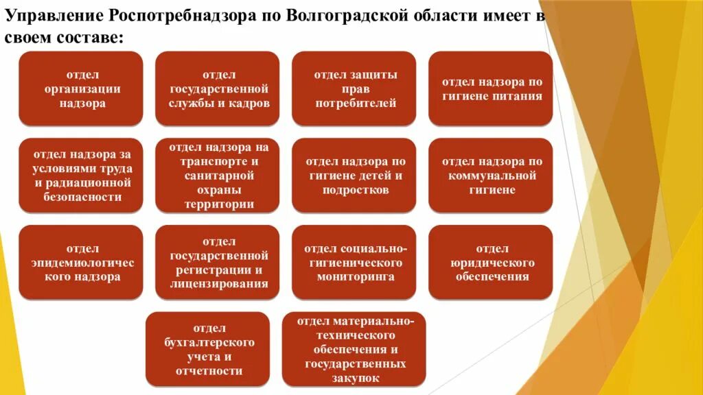 Роспотребнадзор организационная структура управления. Структура Роспотребнадзора. Подразделения Роспотребнадзора. Должности в Роспотребнадзоре.