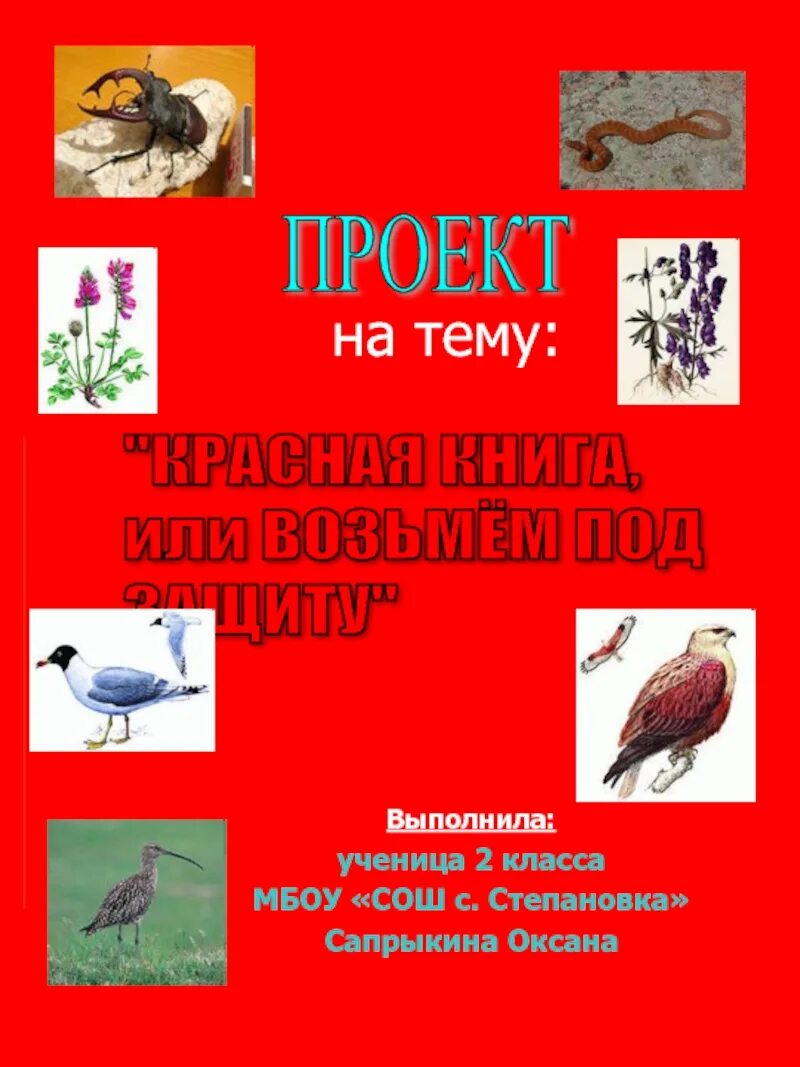 Красная книга презентация проект 2 класс Презентация-проект по окружающему миру на тему Красная книга или возьмём под защ