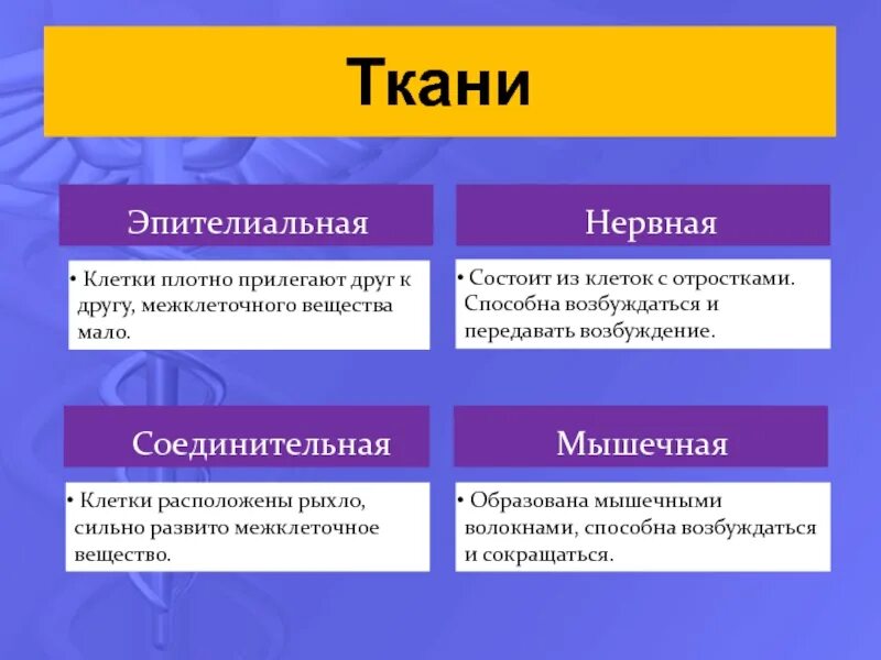 СОЕДИНИТЕЛЬНАЯ ТКАНЬ ФУНКЦИЯ СТРОЕНИЕ КЛАССИФИКАЦИЯ photos