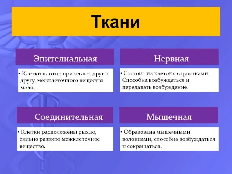 Расположение клеток в тканях. Расположение клеток относительно друг друга в нервной ткани. Расположение клеток относительно друг друга в эпителиальной ткани. Клетки плотно прилегают друг к другу межклеточного вещества мало.