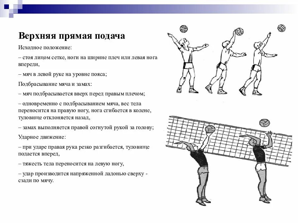 Вес мяча в волейболе. Характеристика техники игры в волейбол. техника игры в волейбол состоит из. волейбол основы техники. термины в волейболе.