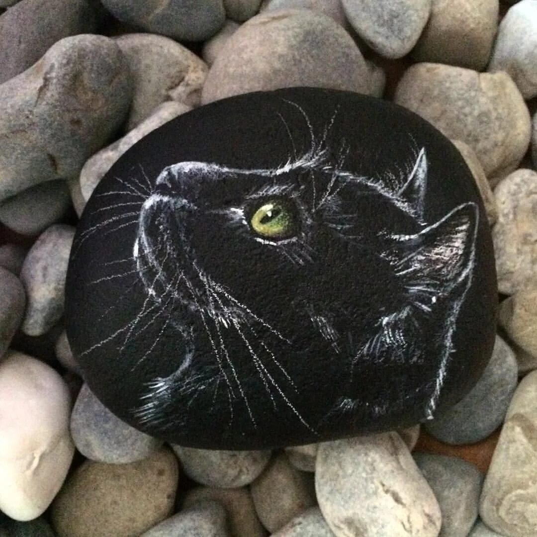 Рисунки на камнях. Живопись на камнях. Разрисовать камень кошка. Кошки на гальке. Кошки из гальки.