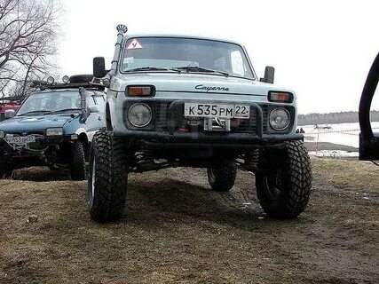 Жесткая нива