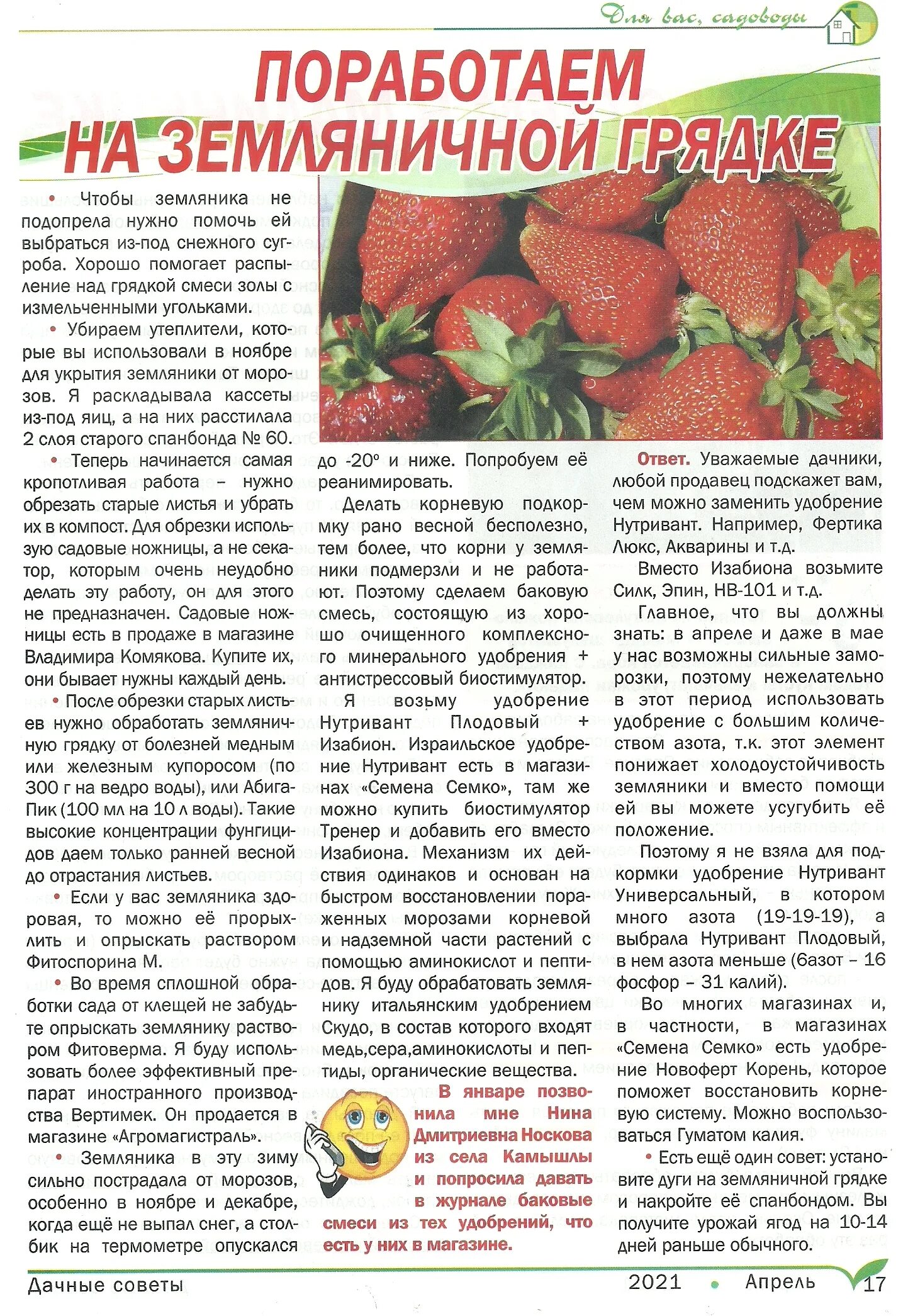 дачные советы. дачные советы в картинках. дачные истории с галиной старосельцевой. дачные советы у торочковой марины. дачные советы галины старосельцевой тыква.