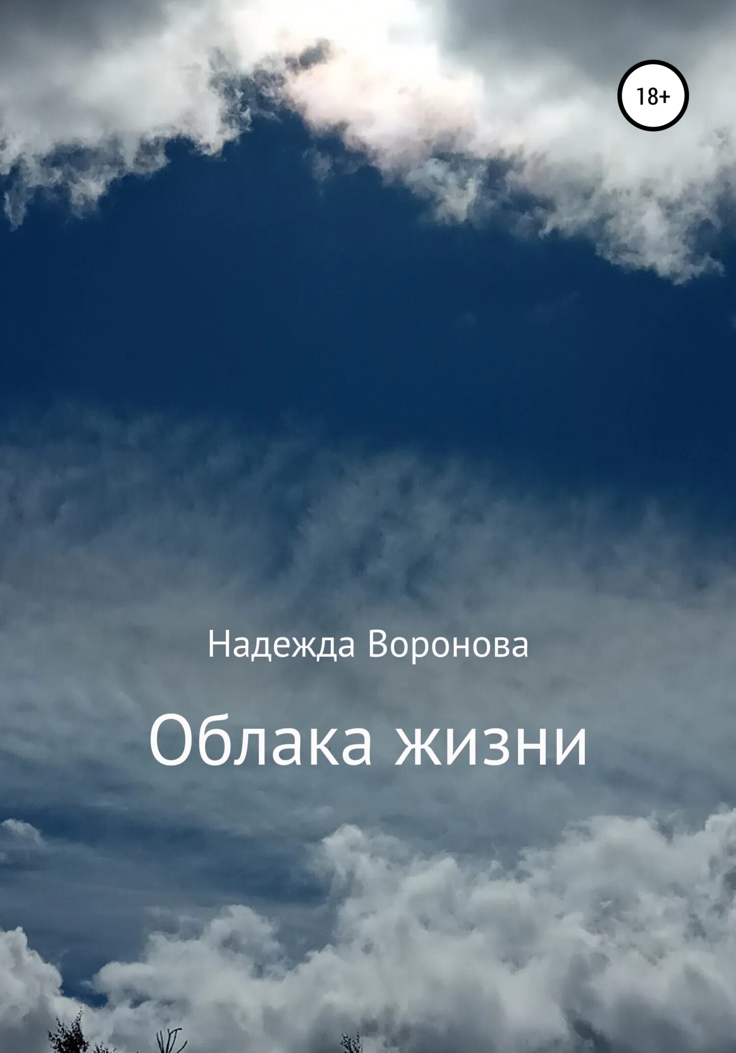 Облако читать 97. Жизнь на облаке. Книга про облака. Облако Воронов.