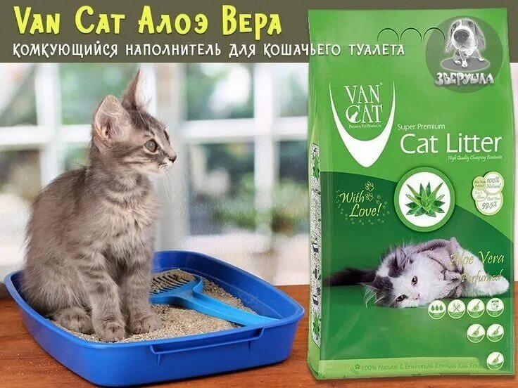Алоэ для кошек. Van Cat наполнитель. Наполнитель премиум кэтс для кошачьего туалета. Наполнитель кошачий Premium Cats. Van Cat Aloe Vera наполнитель комкующийся.