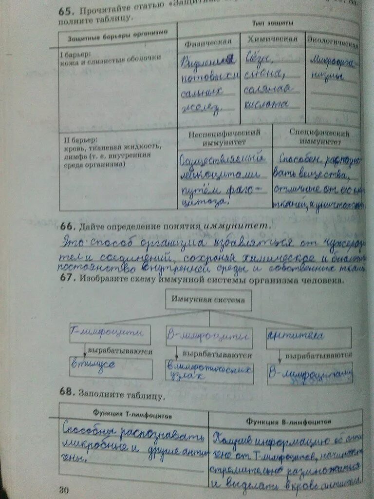 Биология рабочая тетрадь номер 2. Решебник по биологии. рабочая тетрадь по биологии 6. решебник по биологии рабочая тетрадь. решебник по биологии 6 класс рабочая тетрадь.