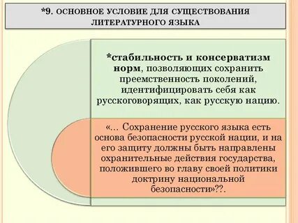 Политика литературном языком