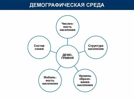 Социально демографические факторы организации
