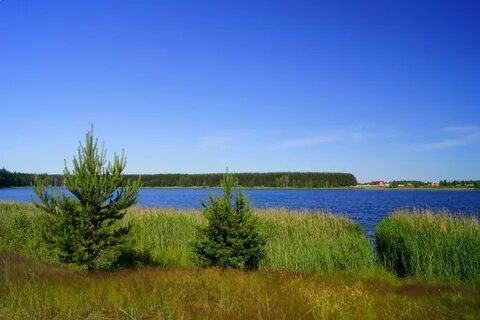 Белых курганская область