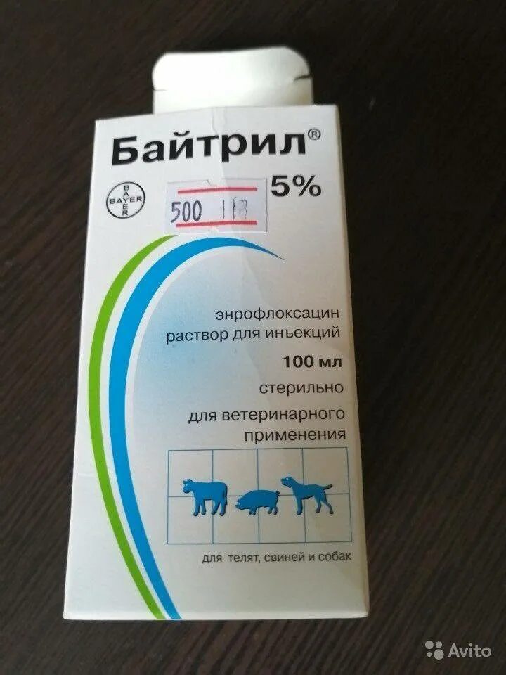 Байтрил 10 применение. Энрофлоксацин байтрил. Байтрил 2.5 для кошек. Антибиотик для собак байтрил. Байтрил лекарство для животных.