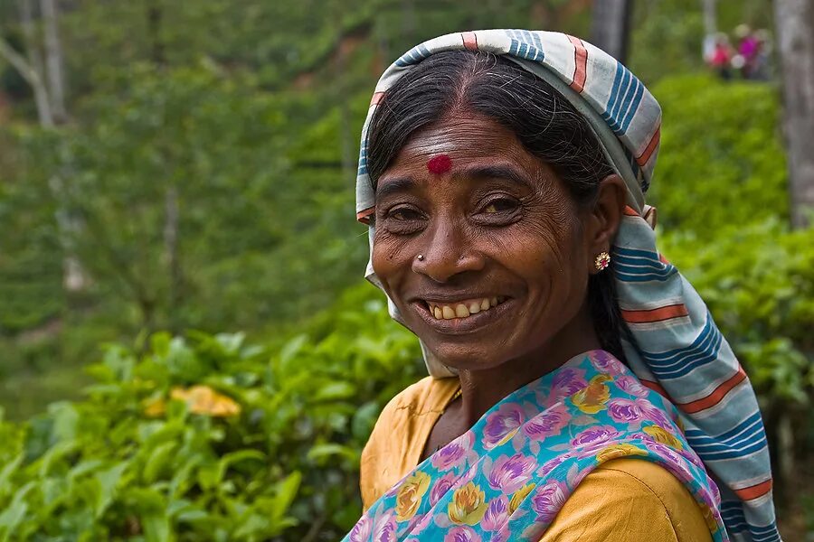 Сингалы шри ланка. Шри ланкийцы. Шри ланкийцы. Сингалы шри ланка. Сингалы и тамилы.