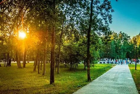 Парк лучшие песни