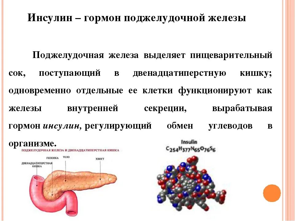 Поджелудочная железа гормон инсулин