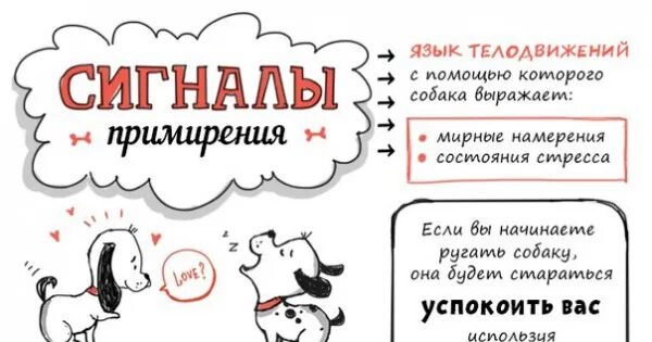 Собачий сигнал. Собачий сигнал