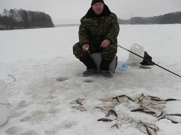 Истра водохранилище рыбалка. Ламишино рыбалка Истринское водохранилище. Платная рыбалка на Истринском водохранилище. Истринское водохранилище рыбалка.