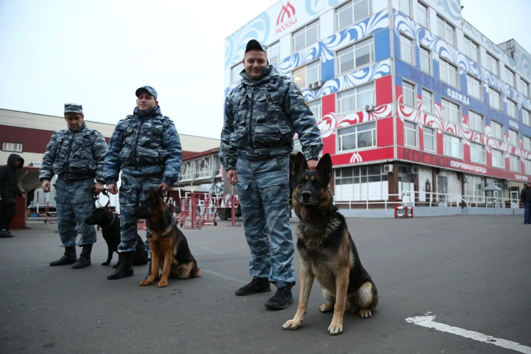 Московских кинолог. Кинологи в торговых центрах Москвы. Кинологическая служба МЧС России. Шоу кинологов.