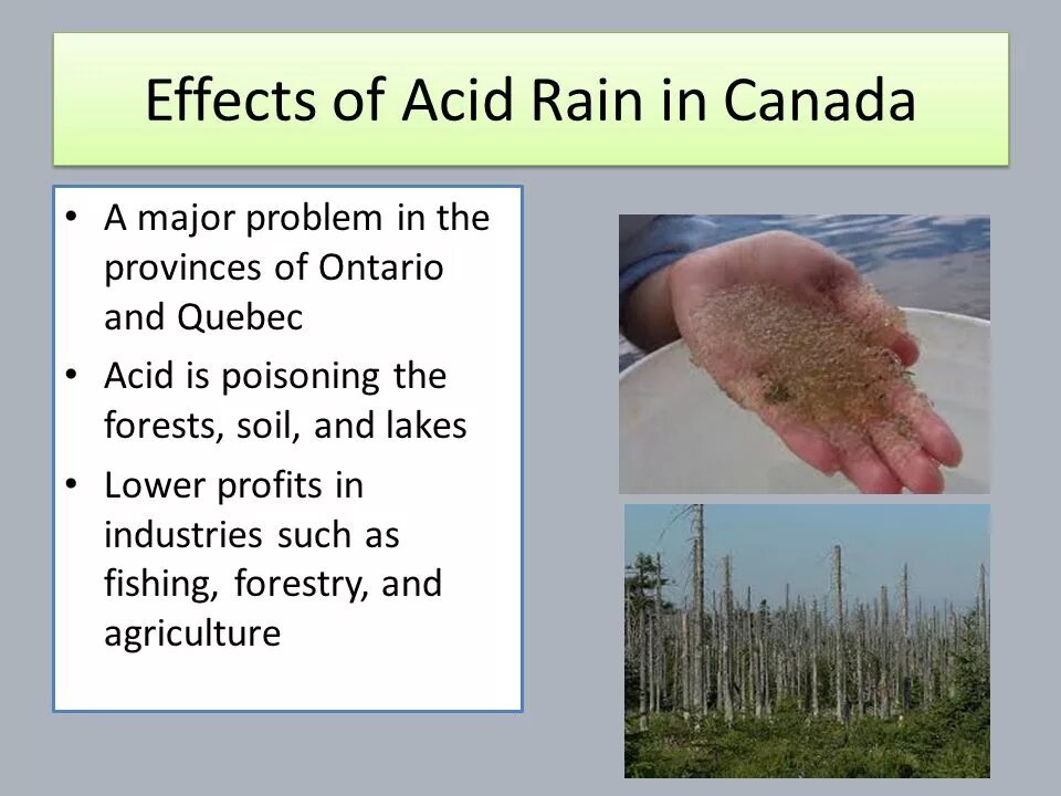 Английский 7 класс стр 77 acid rain. Acid Rain Effects. Кислотные дожди в Канаде. Acid Rain 7 класс. Acid Rain topic.