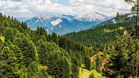 Веднеются или виднеются