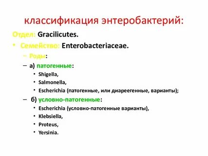Тест по теме инфекции