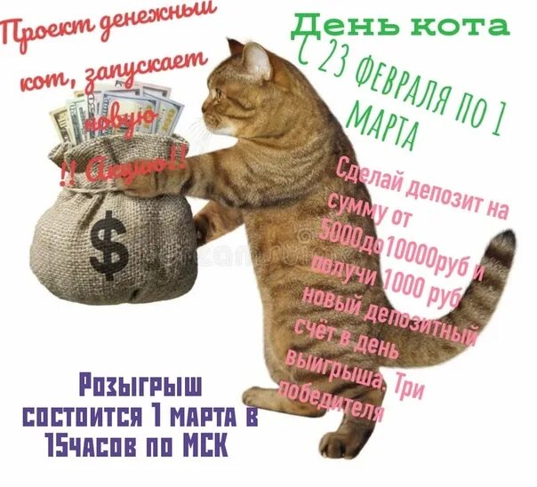 День денежного кота. Денежный кот открытка. Открытки с днём денежного кота. День денежного кота картинки поздравления. Всемирный день денег