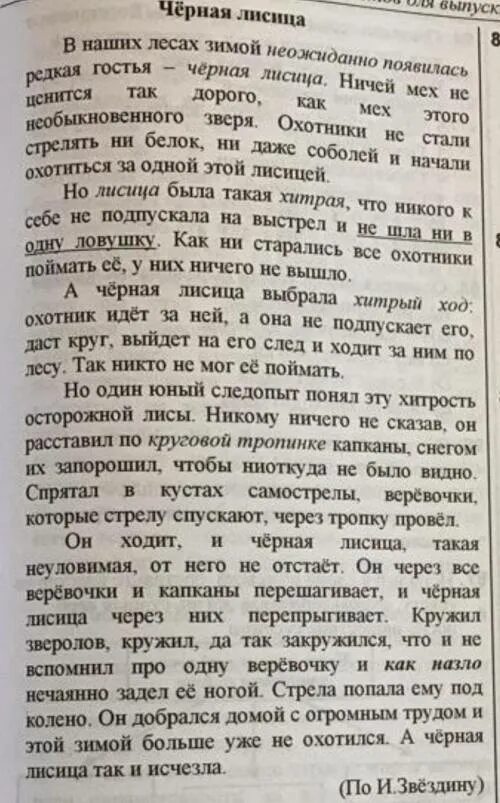 Медведь и лиса. Животные средней полосы. Лиса хмао югры. Животные леса средней полосы. Диктант редкая гостья.