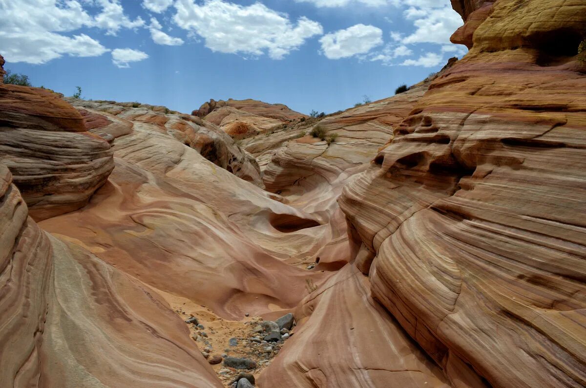 Canyon life. Штат Невада Долина огня. Парк Долина огня Невада. Парк штата Долина огня, Невада, США. Долина огня Лас Вегас.