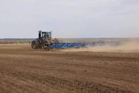 Культуры ярового сева