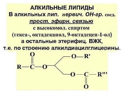 Что такое липиды