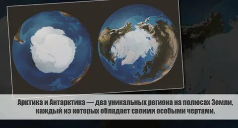арктика и антарктика в чем разница