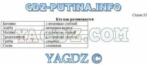 Биология 5 класс тип 8 номер 1109