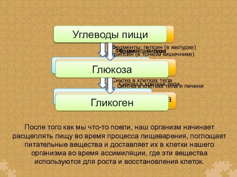 Процесс диссимиляции соответствует. Ассимиляция и диссимиляция презентация. примеры процессов ассимиляции. метаболизм биология 9 класс. ассимиляция это процесс биология.