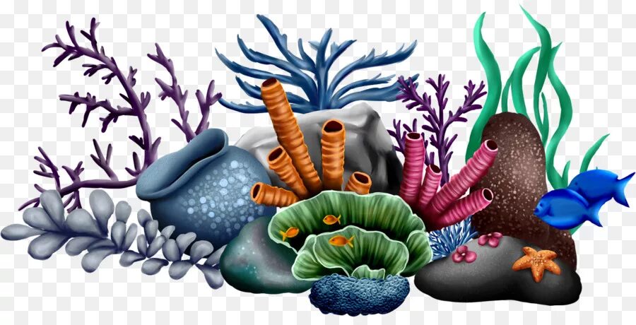 Кораллы для детей. Морские растения. Кораллы для дошкольников. Подводные растения. Дно картинки надпись