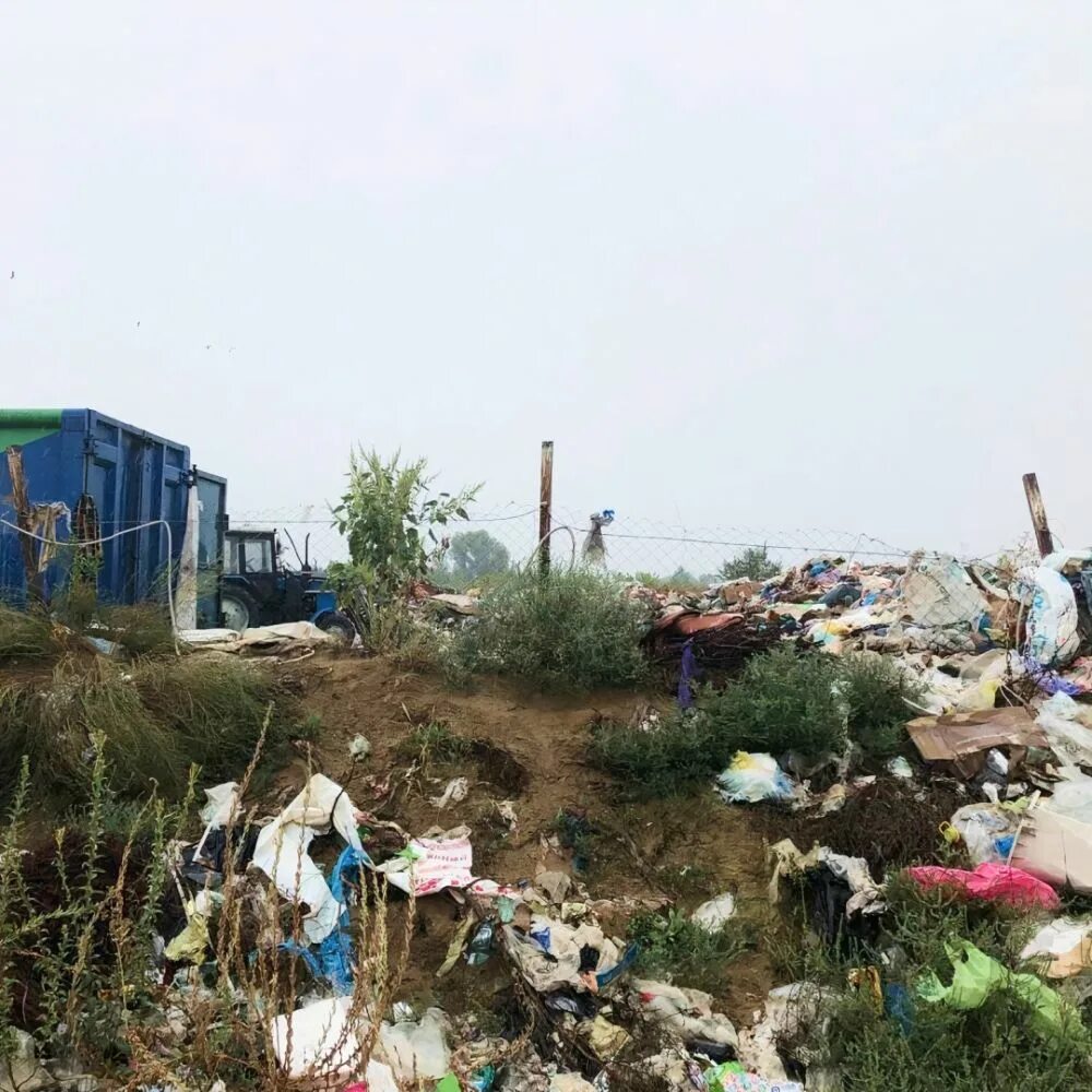 Волгоград тко. Захламленность территории от мусорки. Волгоград тонет в мусоре. Экологическая обстановка в Волгоградской области. Экологические ЧС В Волгоградской области.