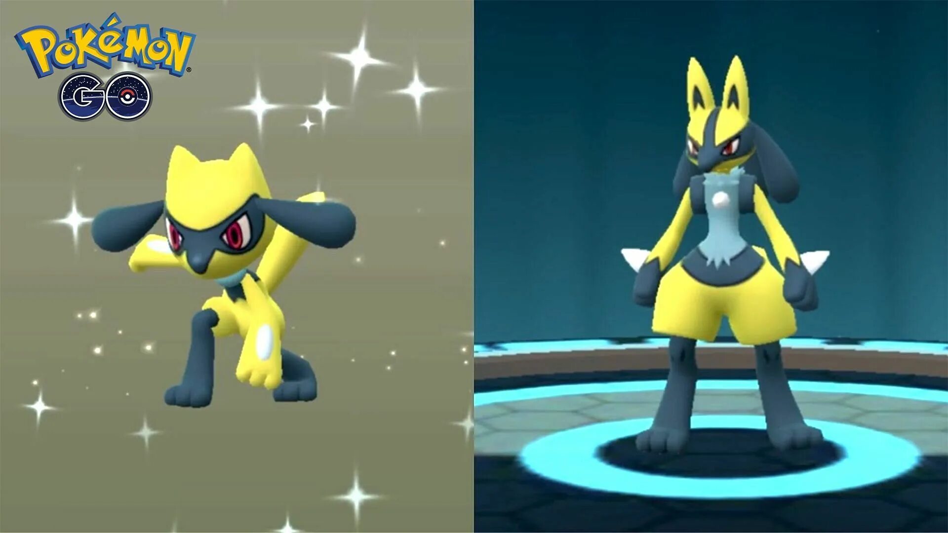 Shiny go