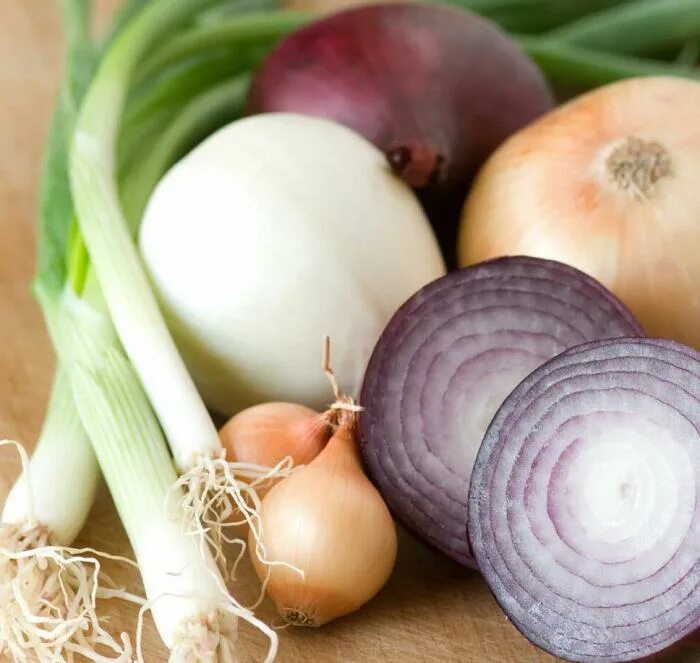 Onion vegetables. Лук репчатый. Лук овощ. Репчатый лук полезные. Луковые овощи.