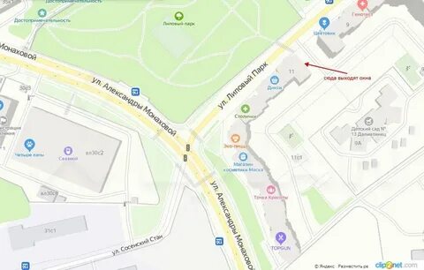Автобус до липового парка