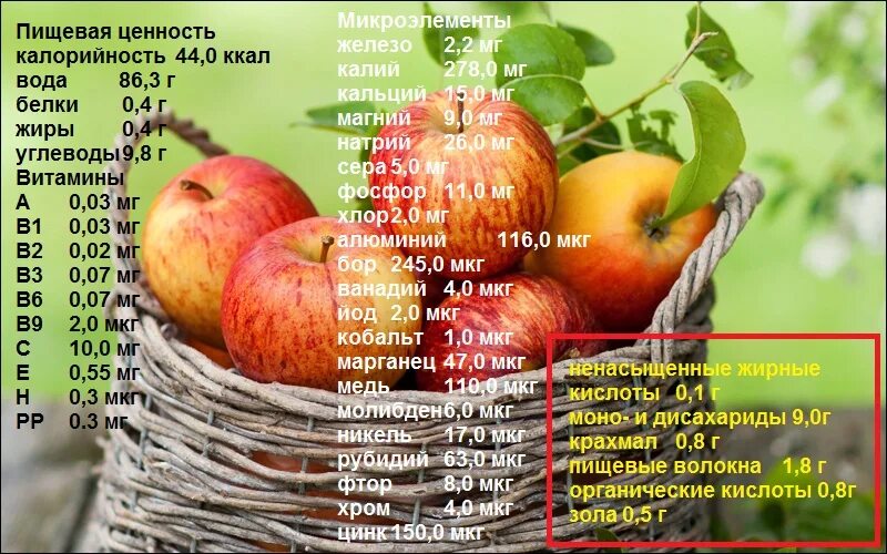 Витамины содержащиеся в яблоке красном. Витамины в яблоке. ценность яблоко. состав яблока. пищевая ценность яблока.