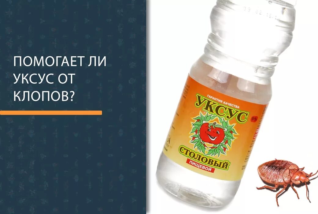 Как избавиться от клопов народными средствами быстро. Уксус от клопов. укус от клопов в квартире. средство от клопов уксус. уксус от клопов в квартире.