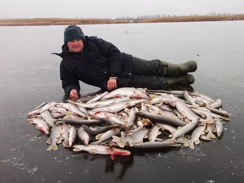 На рыбалку завтра стоит идти