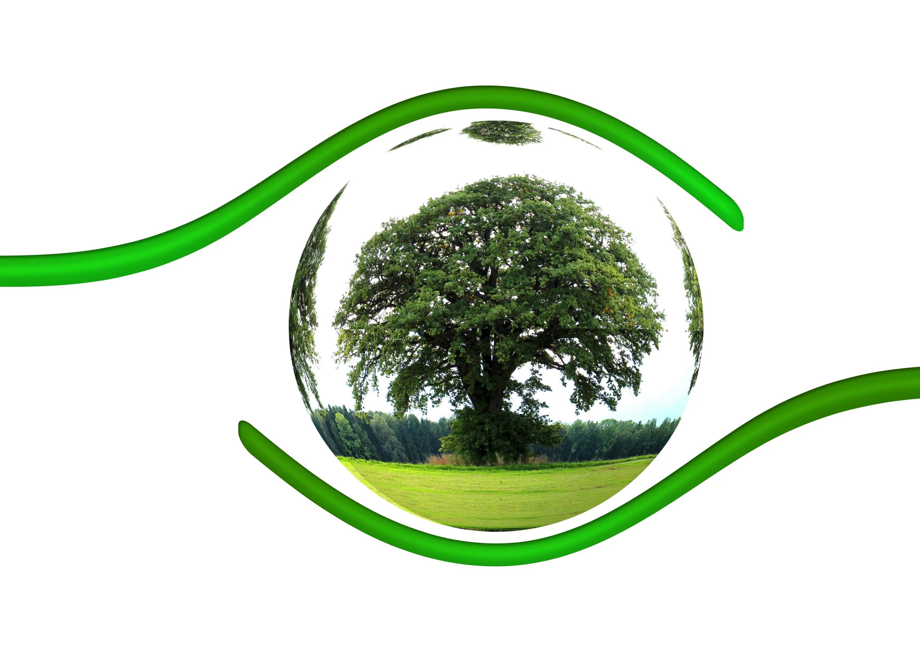 Healthy environment