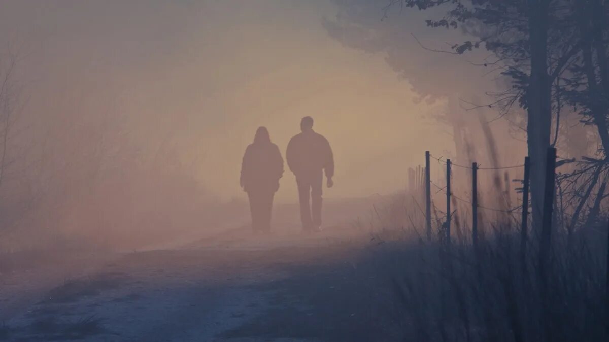 Man from the fog на андроид. Любовь в тумане. Пара в тумане. Парень с девушкой в тумане. Пара уходящая в туманном лесу.