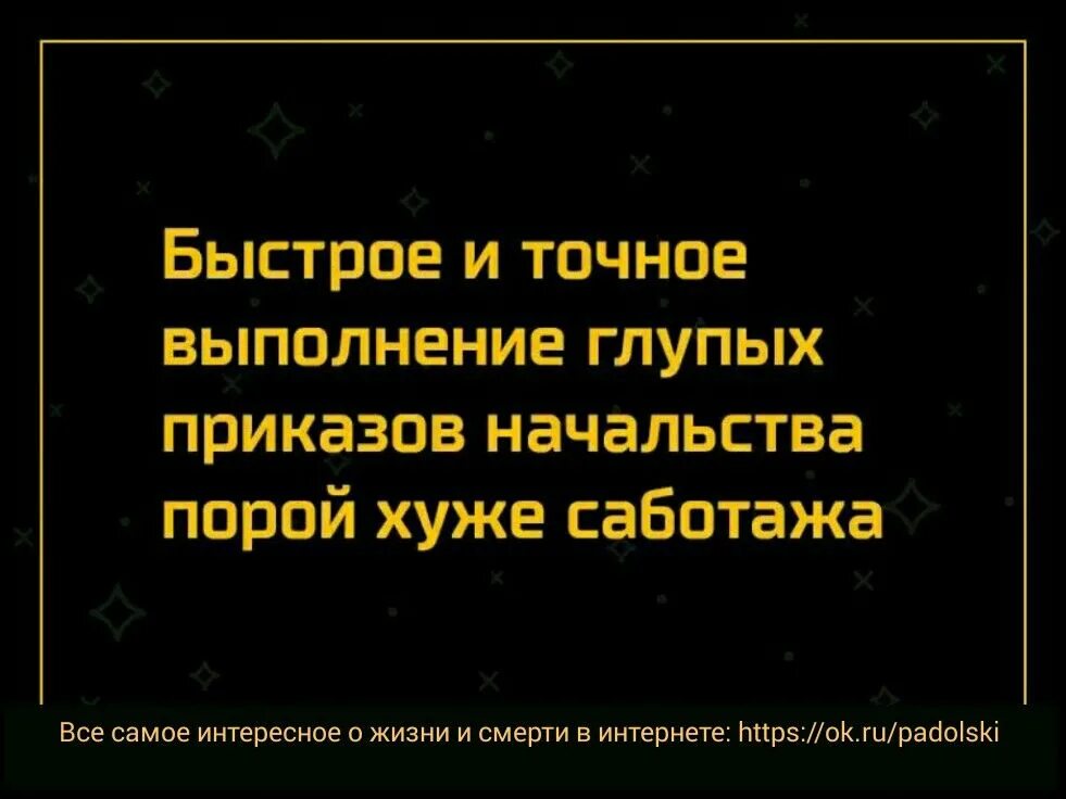 Глупый выполнить. Цитаты про глупых начальников. Цитаты про глупого руководителя. Глупый начальник афоризмы. Афоризм про приказ.