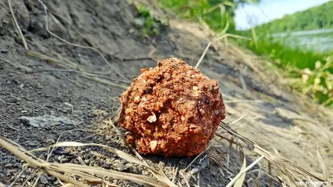 Прикормка для карася