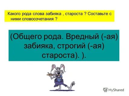 Забияка общий род