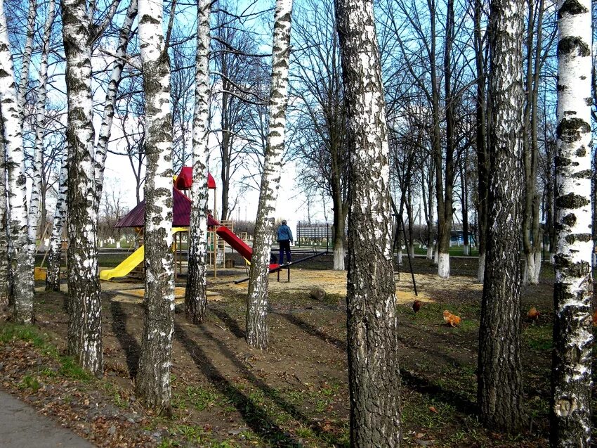 Белгород, село кощеево, парк. Кощеево корочанский. Кощеево корочанский. Кощеево корочанский. Кощеево корочанский.