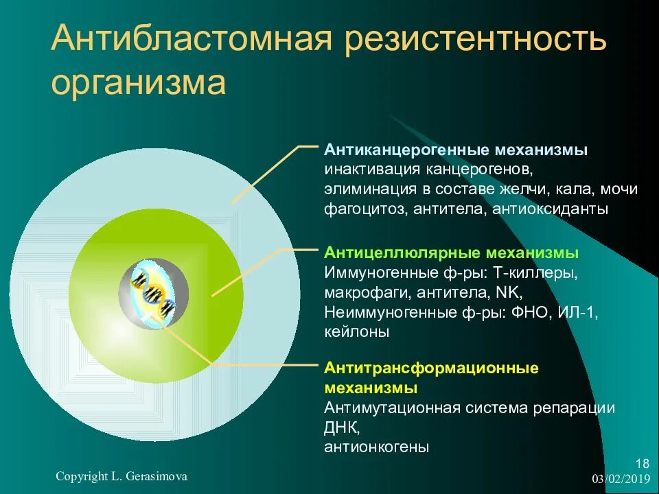 Антибластомная резистентность. Механизм антибластомная резистентность организма. Антицеллюлярные механизмы антибластомной резистентности. Антиканцерогенные механизмы. Общая резистентность