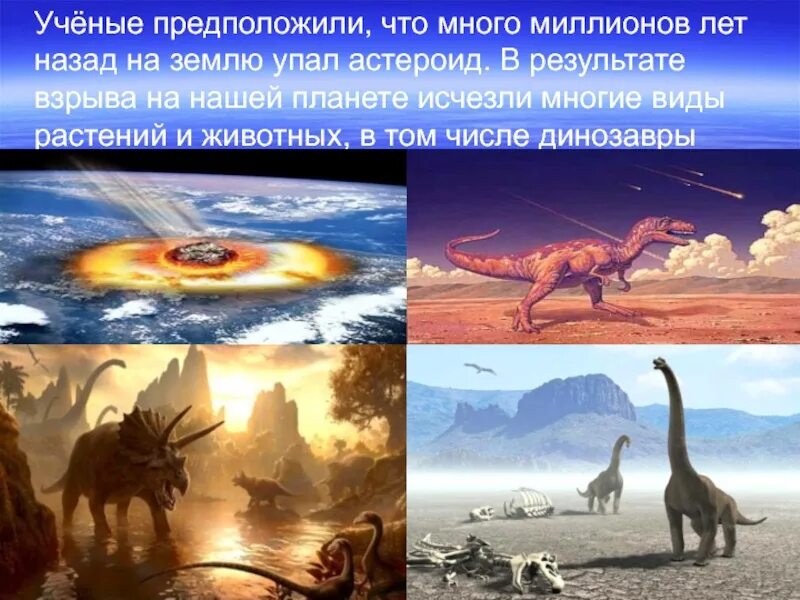 Солнце 1000000 лет назад. Наш город 1000000 лет назад. Здесь много миллионов лет назад вертикальные. Что бы было, если бы на планете исчезли все животные". Число динозавров